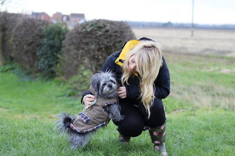 Wintry Walks with Rory